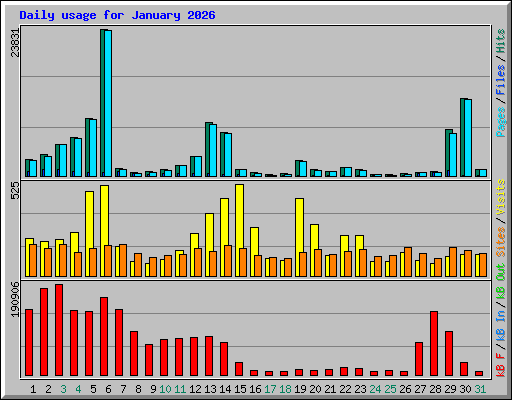 Daily usage for January 2026