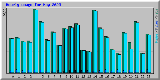 Hourly usage for May 2025