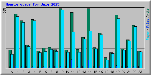 Hourly usage for July 2025