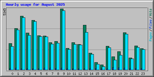 Hourly usage for August 2025