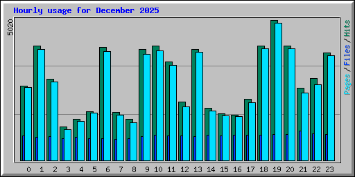 Hourly usage for December 2025