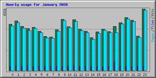 Hourly usage for January 2026