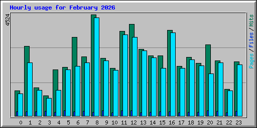 Hourly usage for February 2026